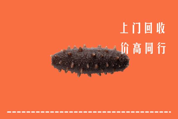 高价求购：鄂州市回收海参