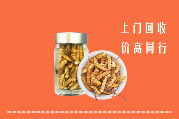 收购行情：鄂州市回收冬虫夏草